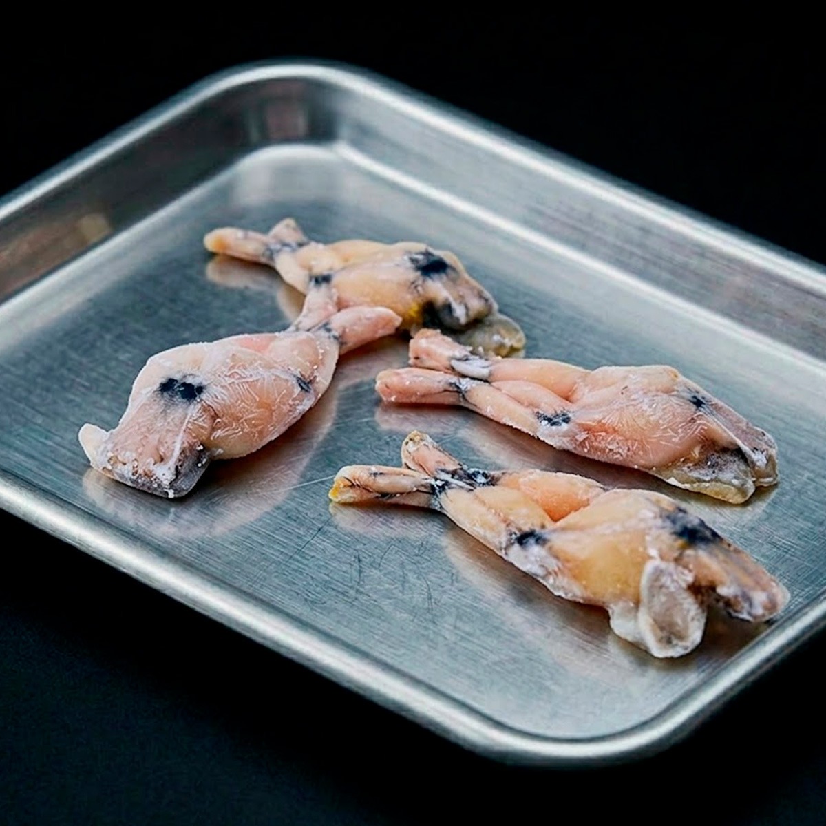Anura Hind-Limbs (Raciones de Músculo Magro para Reptiles) - FROG FOR PETS
