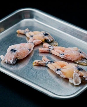 Alimento congelado para reptiles Anura Hind-Limbs raciones de rana para serpientes y varanos Frog For Pets.